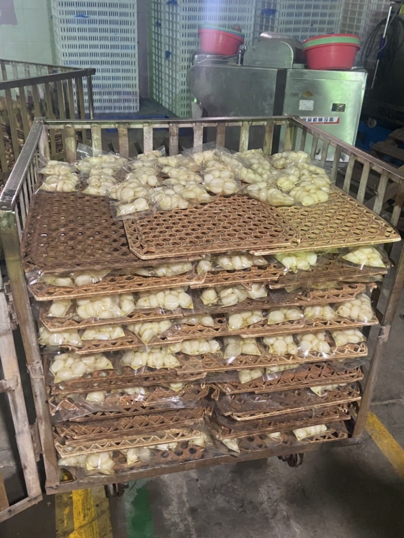 广西桂林荔浦桂花水果马蹄甜而不腻脆口多汁可以按要求定制