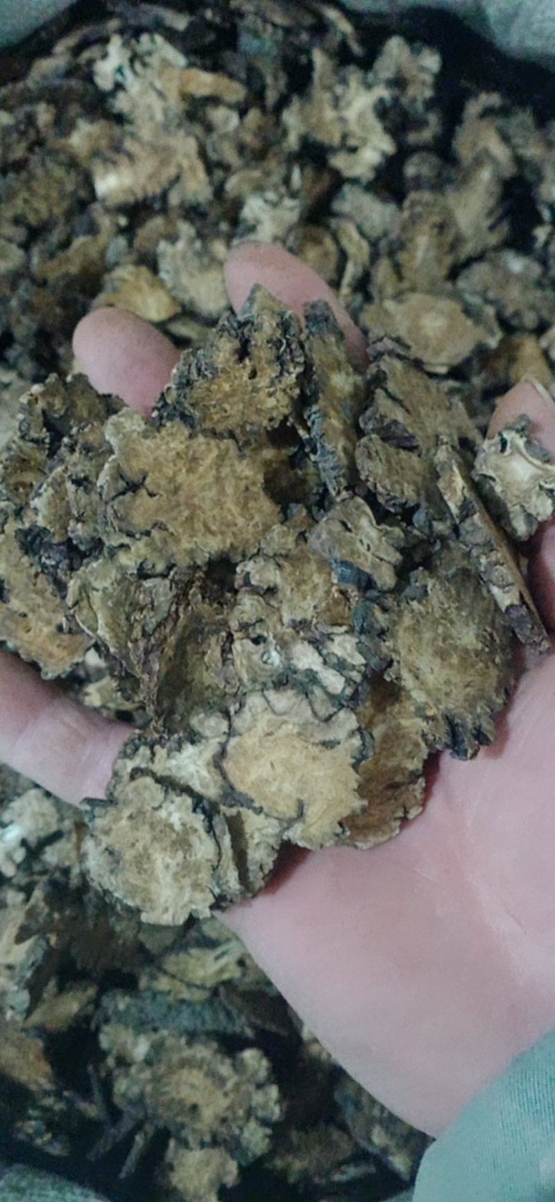 【川芎】产地货源大货供应量大优惠规格齐全质量保证。