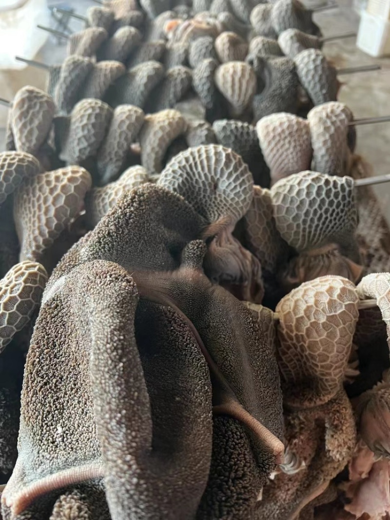 全熟羊毛肚，羊肚，熟羊毛肚。全熟五香羊毛肚。