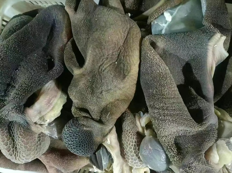 全熟羊毛肚，羊肚，熟羊毛肚。全熟五香羊毛肚。