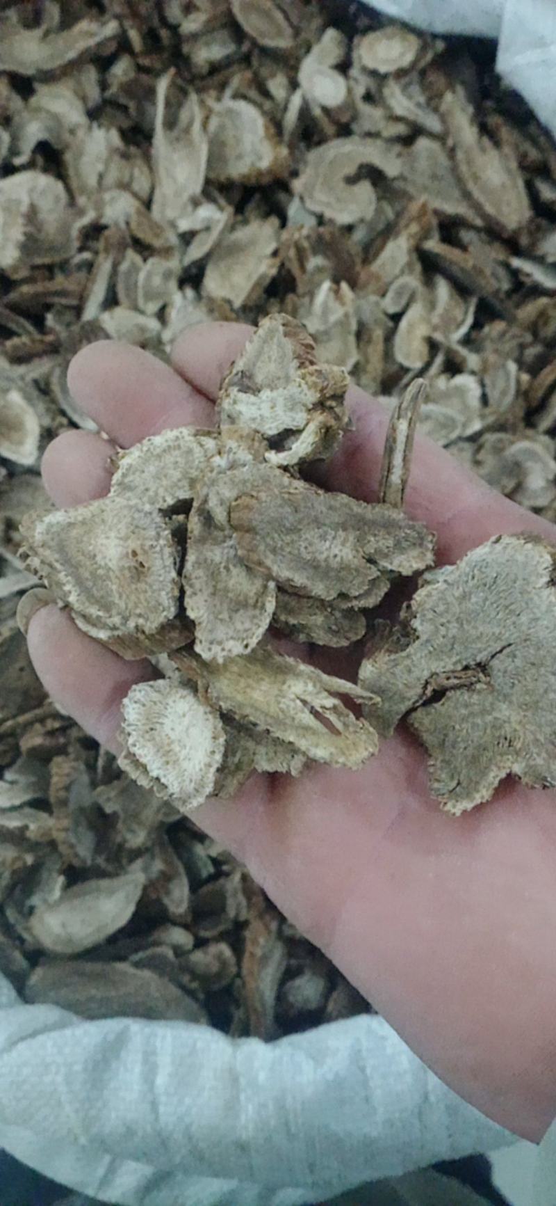 【木香】产地直销规格齐全量大优惠规格齐全质量保证。