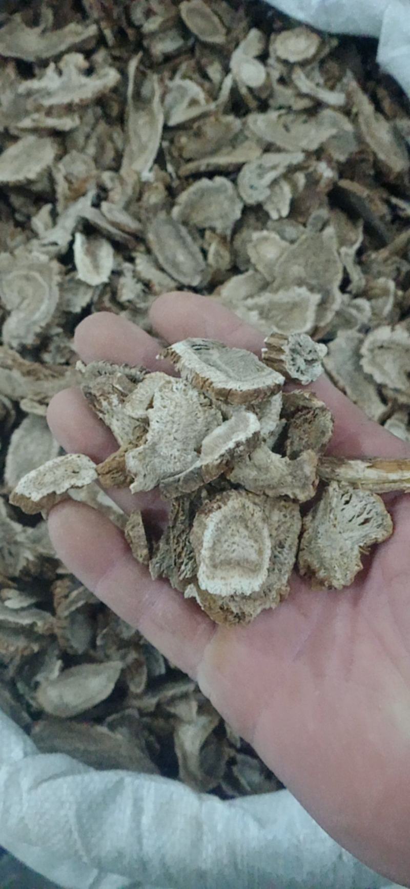 【木香】产地直销规格齐全量大优惠规格齐全质量保证。