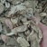 【木香】产地直销规格齐全量大优惠规格齐全质量保证。