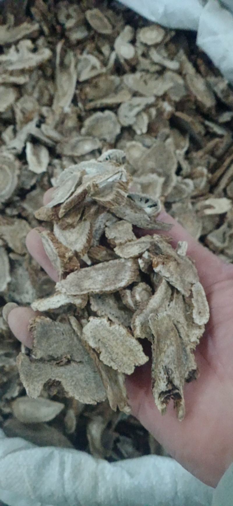 【木香】产地直销规格齐全量大优惠规格齐全质量保证。