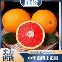 【一件代发】中华红血橙红橙红肉脐橙产地直发一手货源