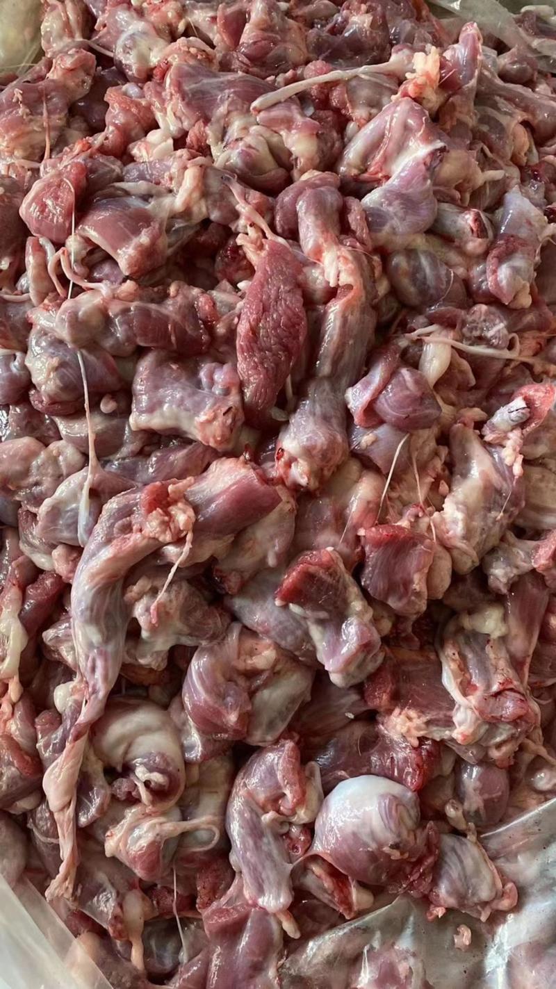 河北沧州精品羔羊碎肉山羊肉质量保障欢迎订购