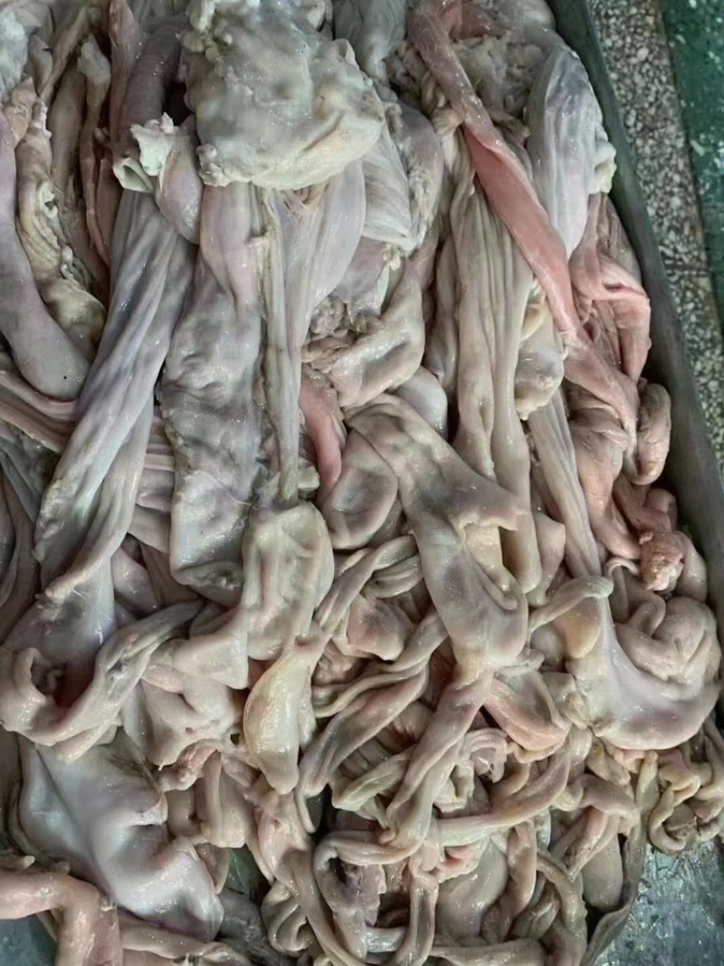优质生羊小肚货源充足量大优惠，一手货