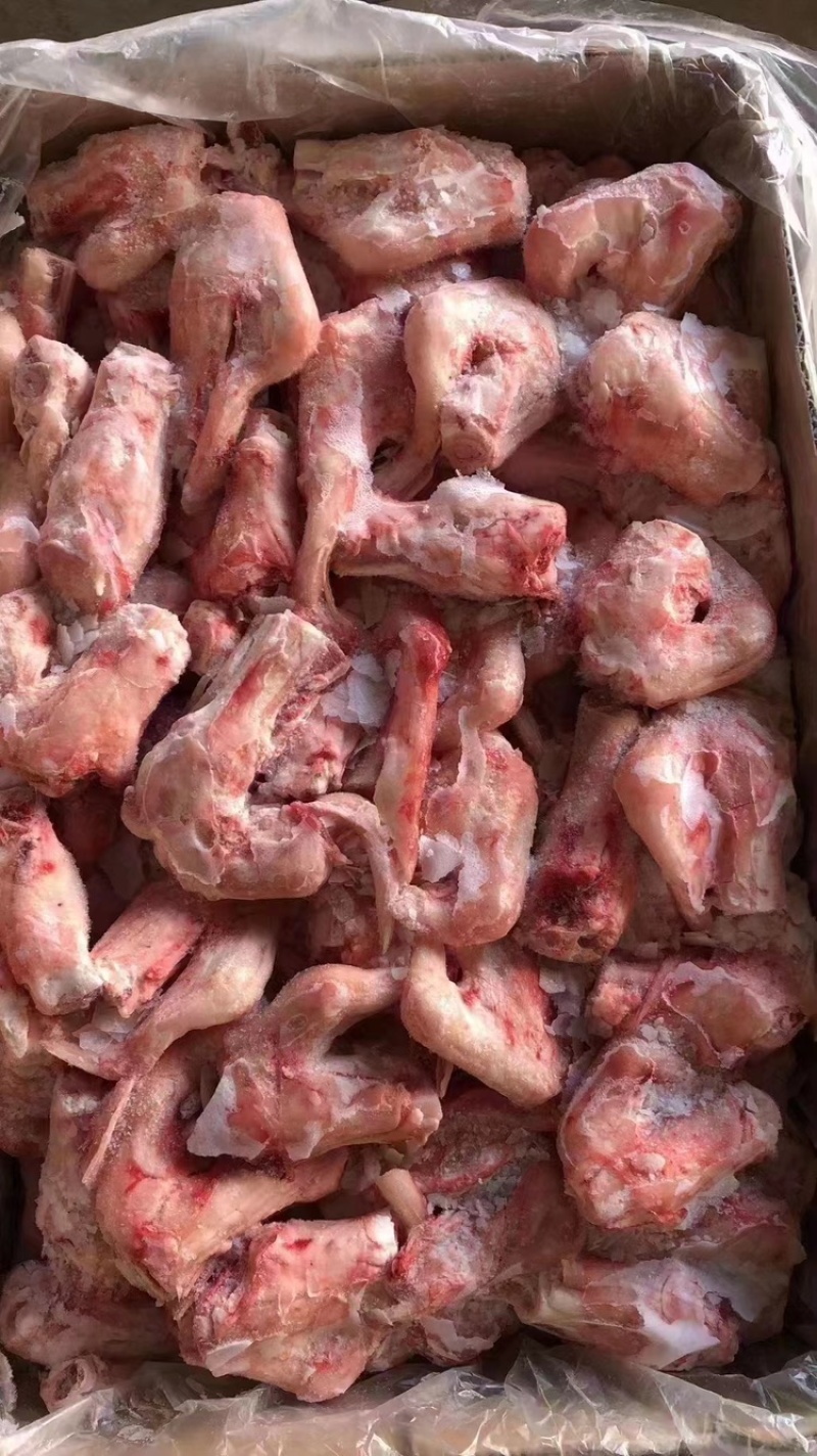 精选羔羊拐筋对接全国批发商，羊肉馆，肉馆