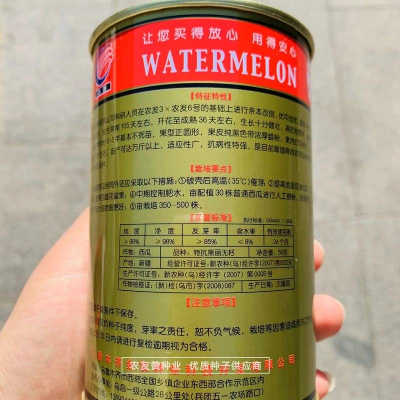 特抗黑丽纯黑皮无籽西瓜种子中晚熟抗病耐重茬无籽瓜种籽