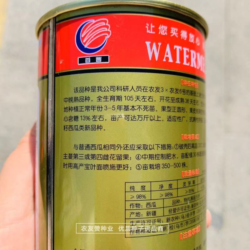 特抗黑丽纯黑皮无籽西瓜种子中晚熟抗病耐重茬无籽瓜种籽