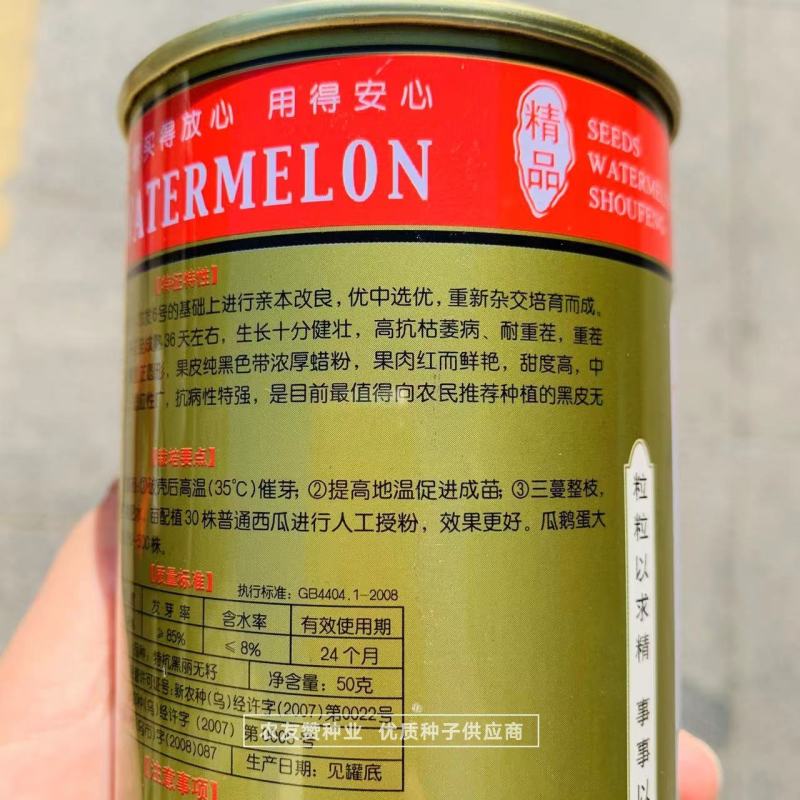 特抗黑丽纯黑皮无籽西瓜种子中晚熟抗病耐重茬无籽瓜种籽