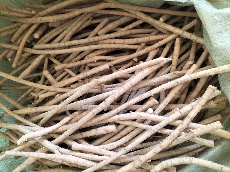 大量新鲜中叶牛大力，各种规格齐全，产地直发，质优价廉