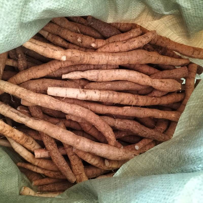 大量新鲜中叶牛大力，各种规格齐全，产地直发，质优价廉
