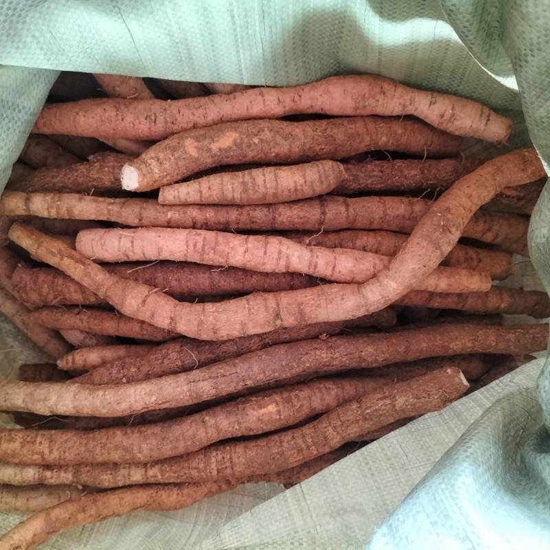 大量新鲜中叶牛大力，各种规格齐全，产地直发，质优价廉
