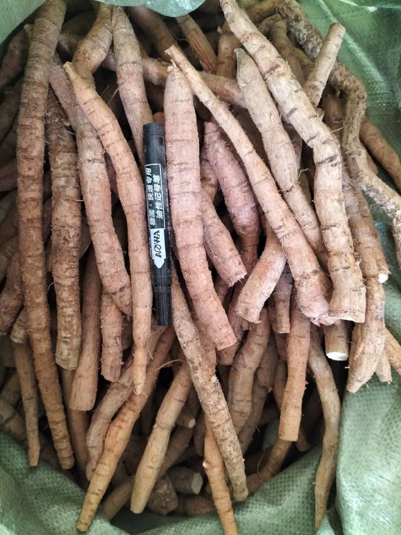大量新鲜中叶牛大力，各种规格齐全，产地直发，质优价廉