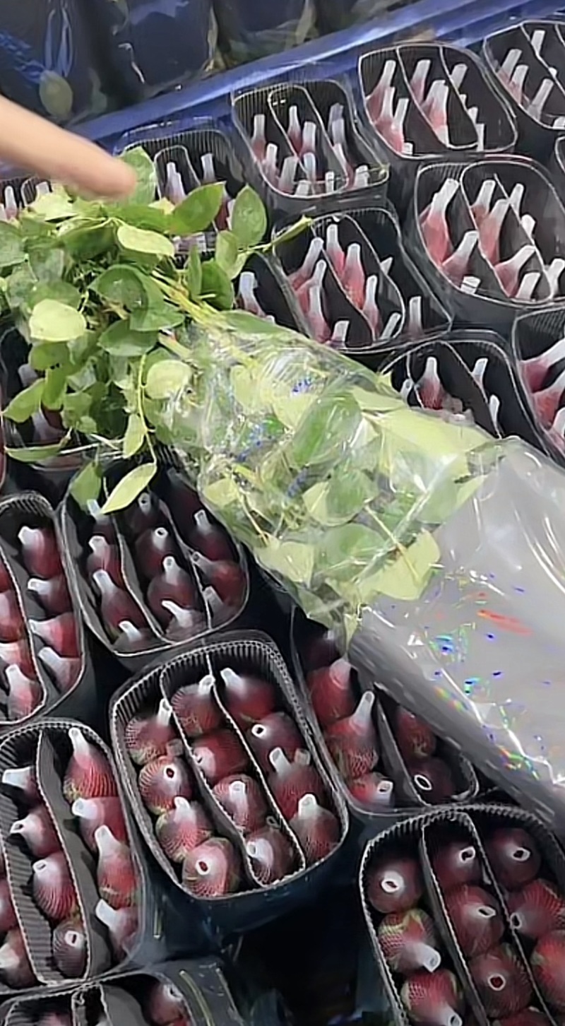 斗南鲜花基地直发