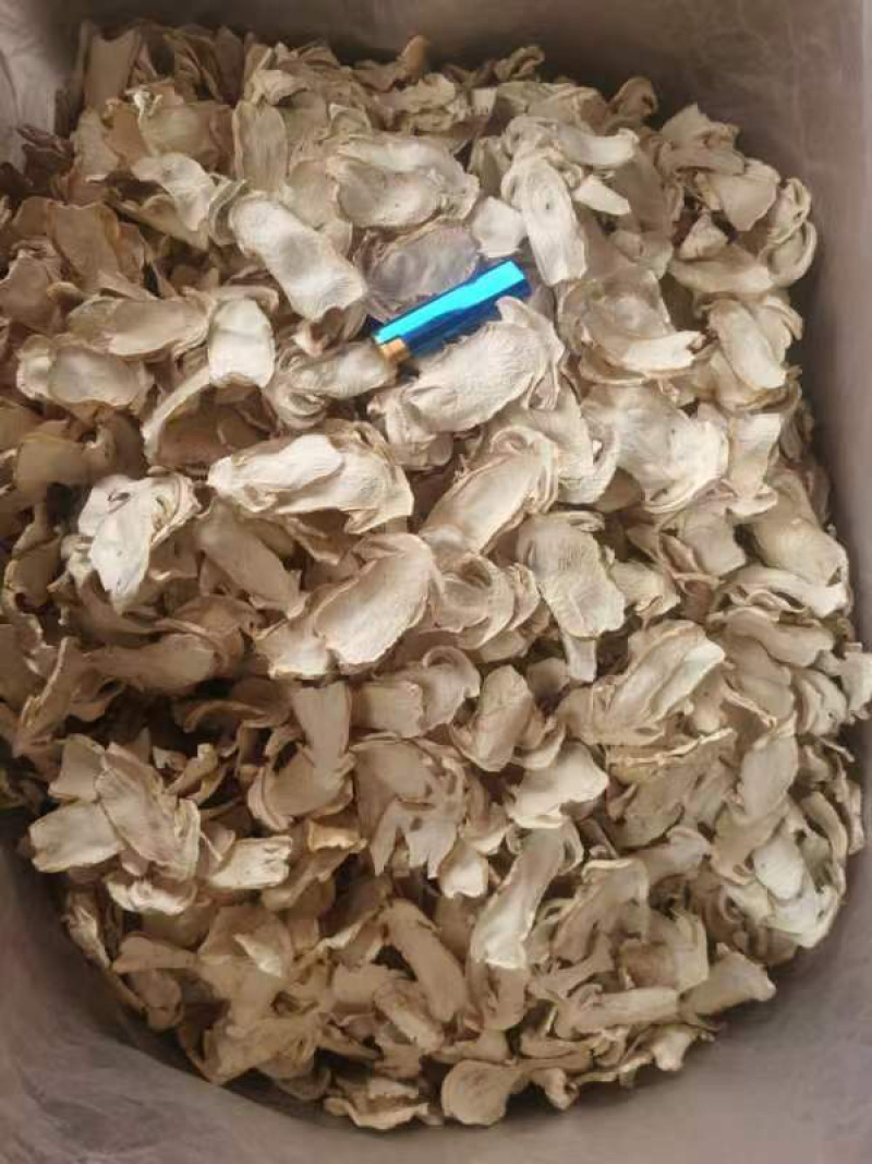 云南球盖菇干片大球盖菇赤松茸基地货源新货大量上市批发