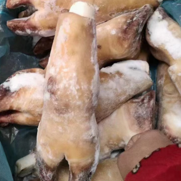 火烧毛牛蹄带骨火烧毛牛蹄无碱火烧毛大牛蹄