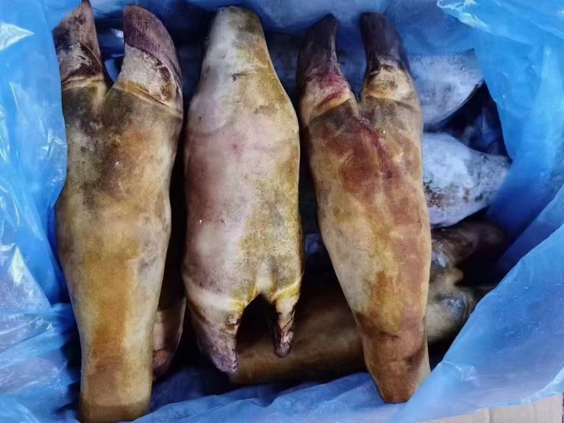火烧毛牛蹄带骨火烧毛牛蹄无碱火烧毛大牛蹄