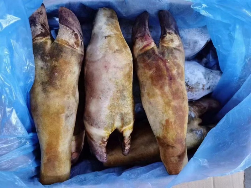 火烧毛牛蹄带骨火烧毛牛蹄无碱火烧毛大牛蹄