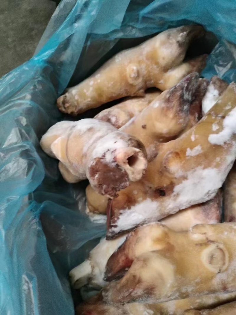 火烧毛牛蹄带骨火烧毛牛蹄无碱火烧毛大牛蹄