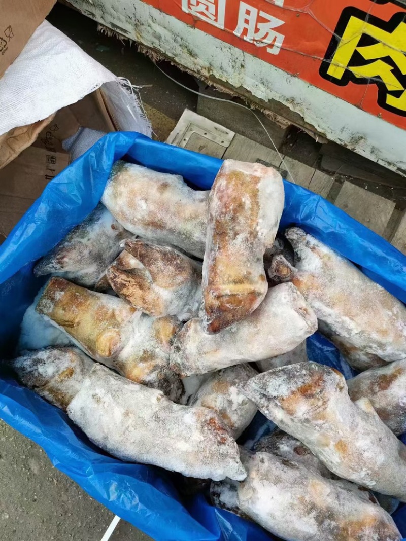 火烧毛牛蹄带骨火烧毛牛蹄无碱火烧毛大牛蹄