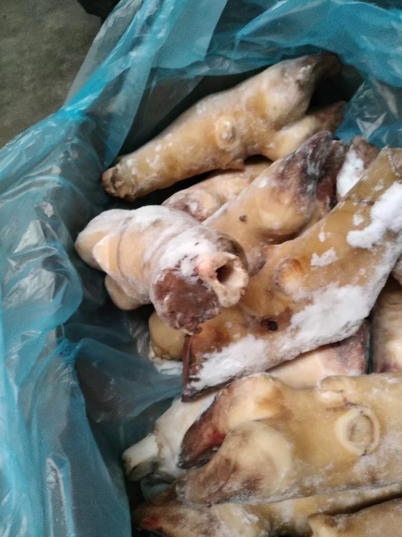 火烧毛牛蹄带骨火烧毛牛蹄无碱火烧毛大牛蹄