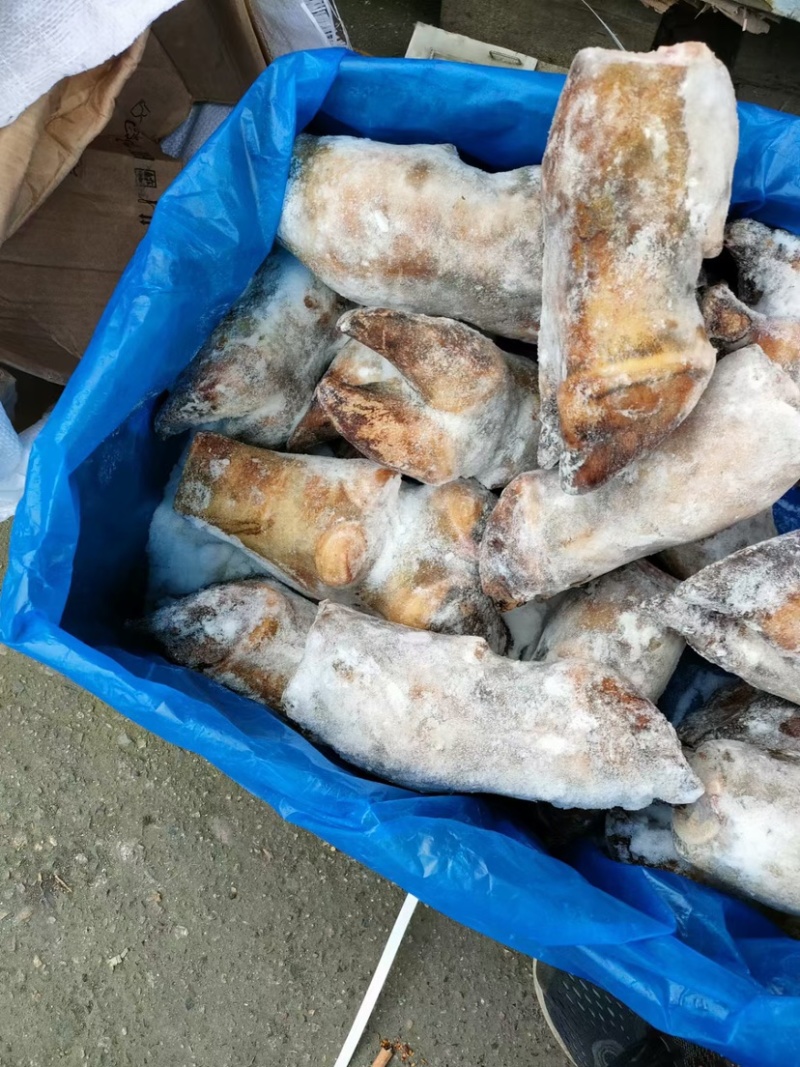 火烧毛牛蹄带骨火烧毛牛蹄无碱火烧毛大牛蹄