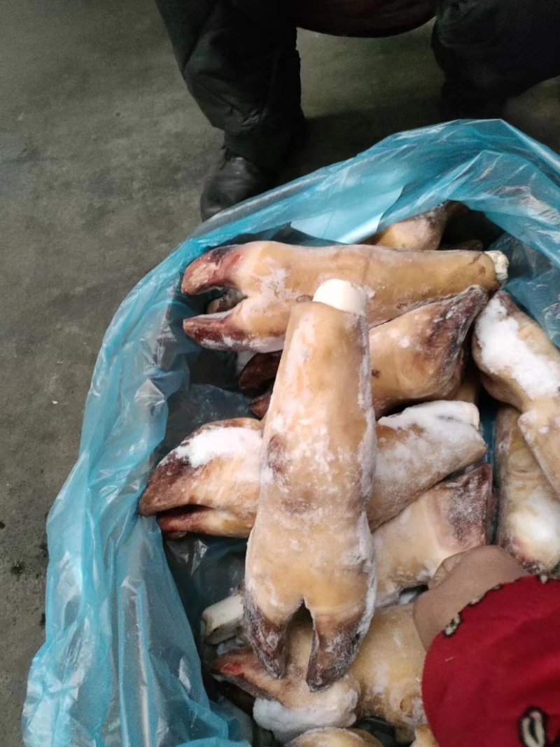 火烧毛牛蹄带骨火烧毛牛蹄无碱火烧毛大牛蹄