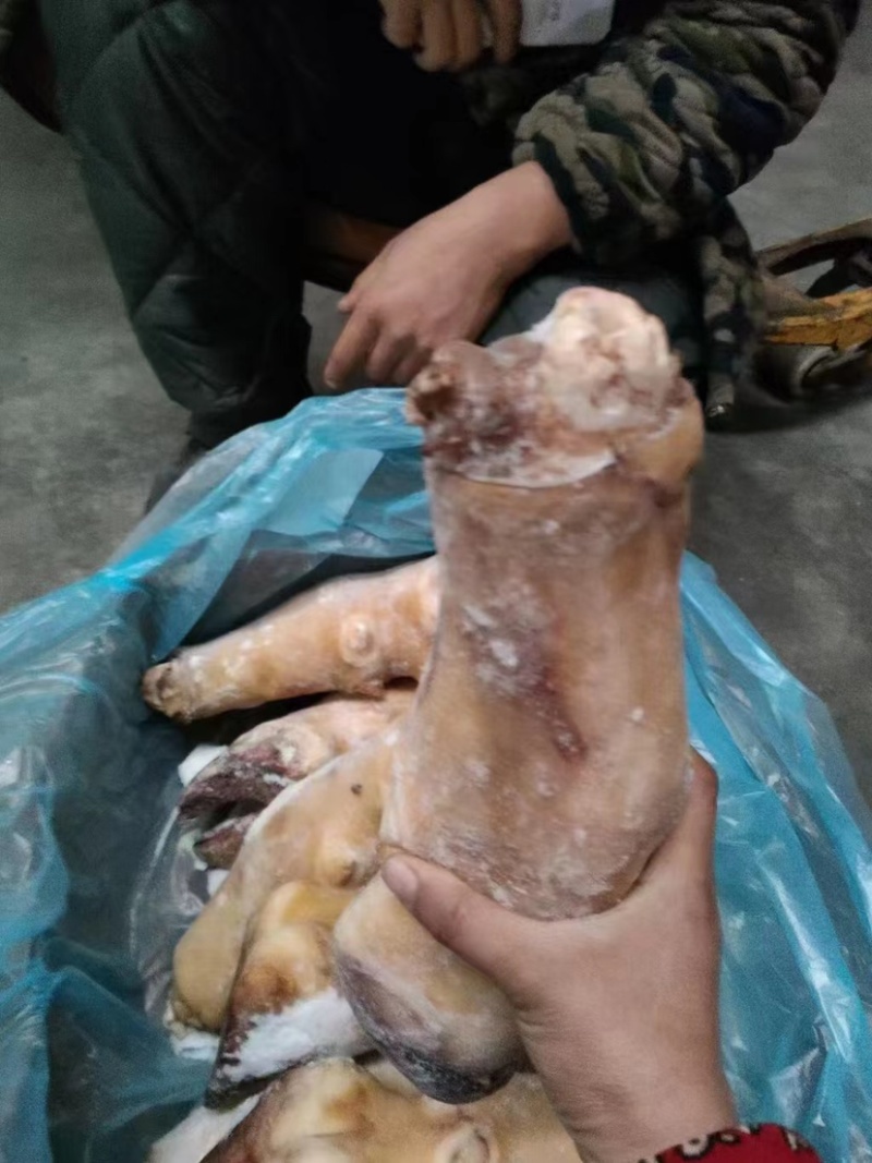 火烧毛牛蹄带骨火烧毛牛蹄无碱火烧毛大牛蹄