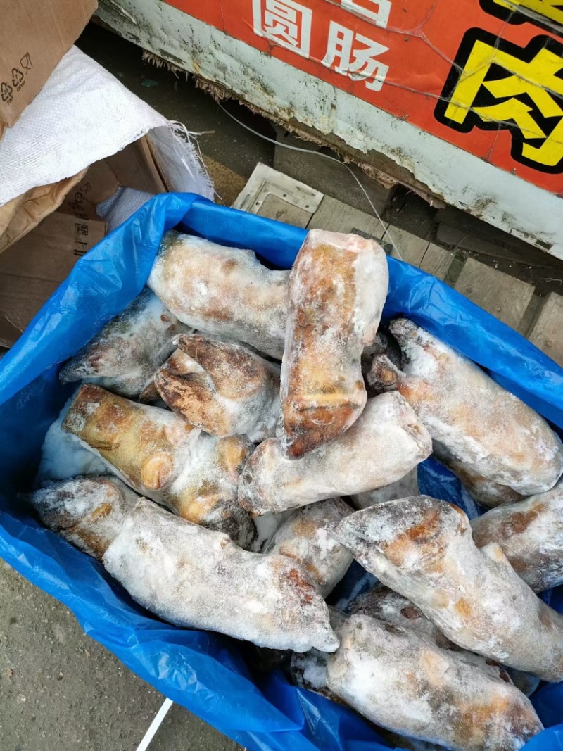火烧毛牛蹄带骨火烧毛牛蹄无碱火烧毛大牛蹄