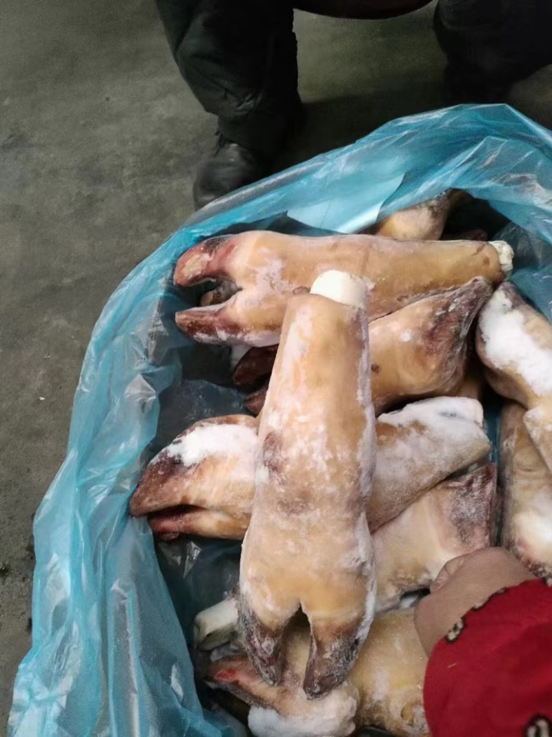 火烧毛牛蹄带骨火烧毛牛蹄无碱火烧毛大牛蹄
