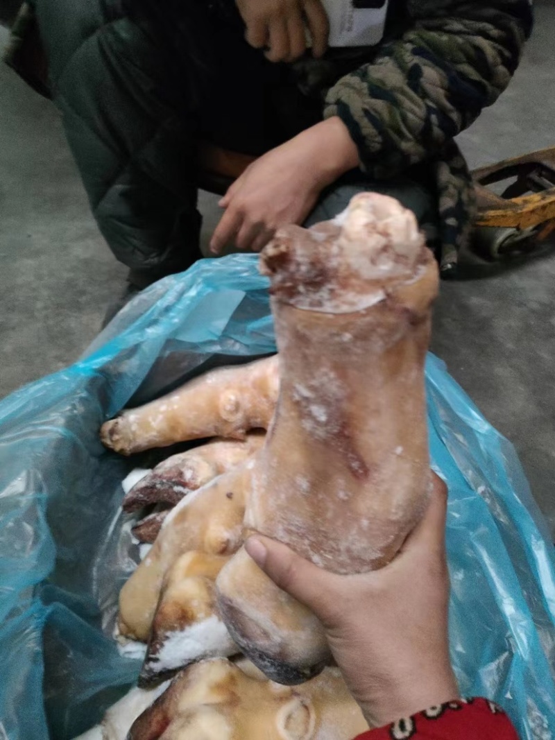 火烧毛牛蹄带骨火烧毛牛蹄无碱火烧毛大牛蹄