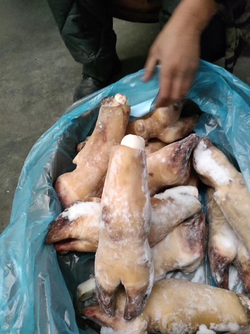 火烧毛牛蹄带骨火烧毛牛蹄无碱火烧毛大牛蹄