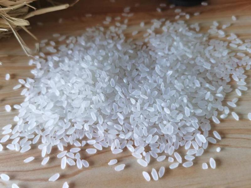 2023新米批发东北五常长粒香大米适合直播带货电商选品