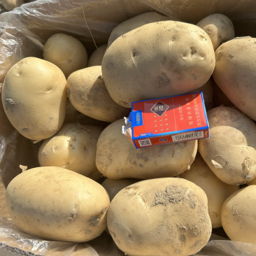 【云南土豆】丽薯六号土豆新货现挖现发保质保量欢迎选购吧