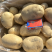 【云南土豆】丽薯六号土豆新货现挖现发保质保量欢迎选购吧