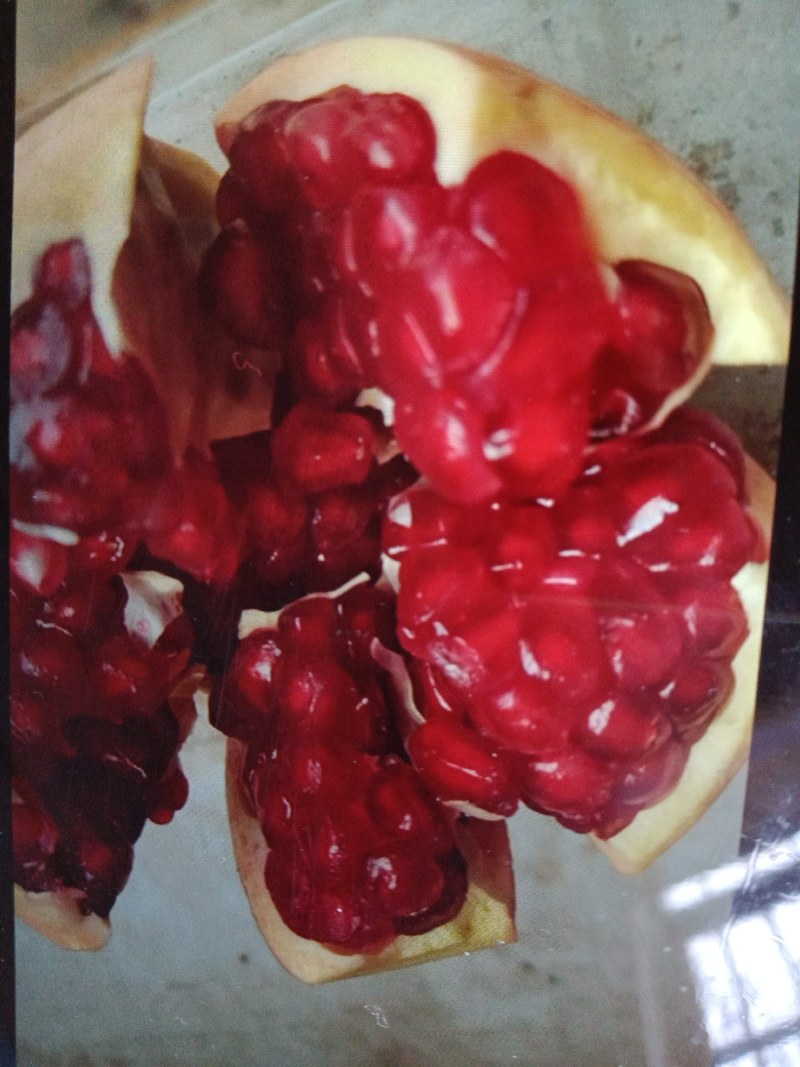 河阴软籽次品果代办