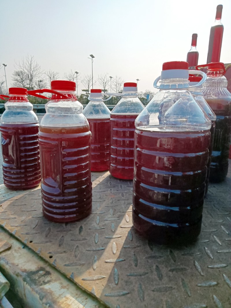 河阴软籽次品果代办