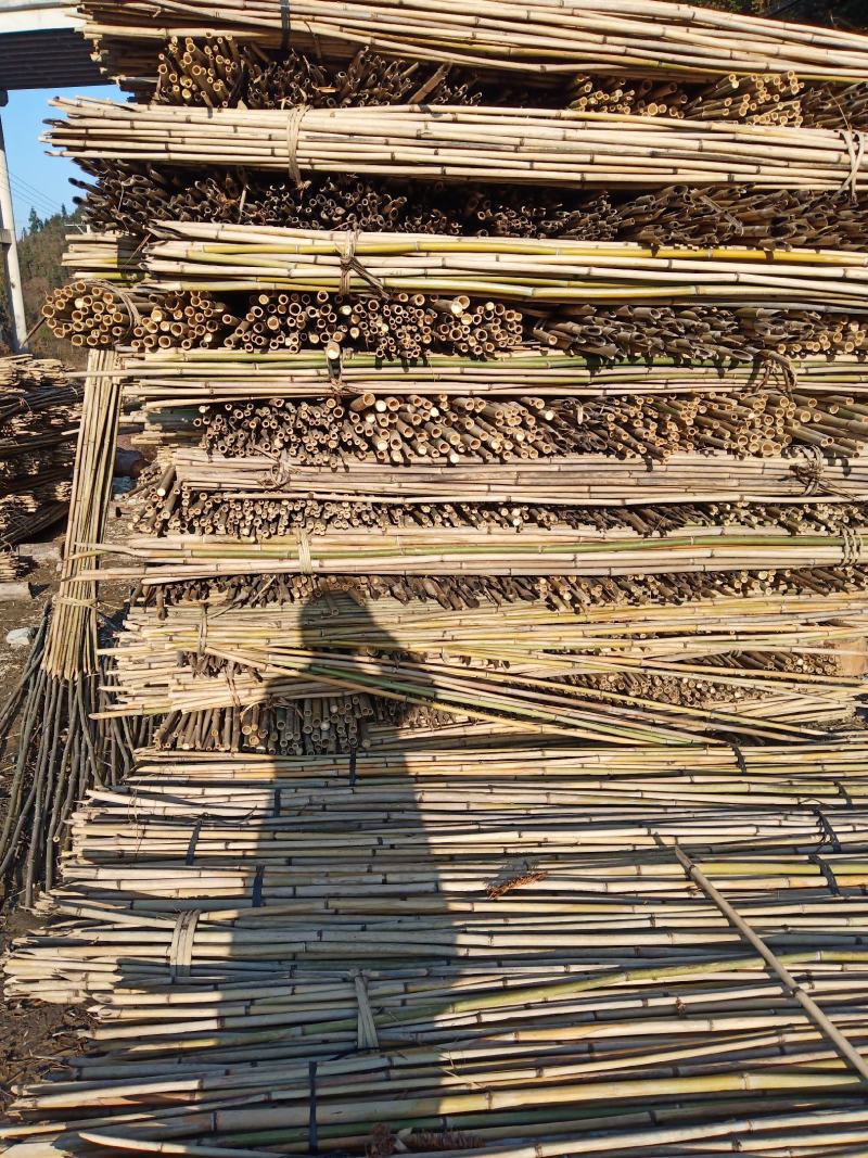 毛竹，糯竹，搭菜架子竹