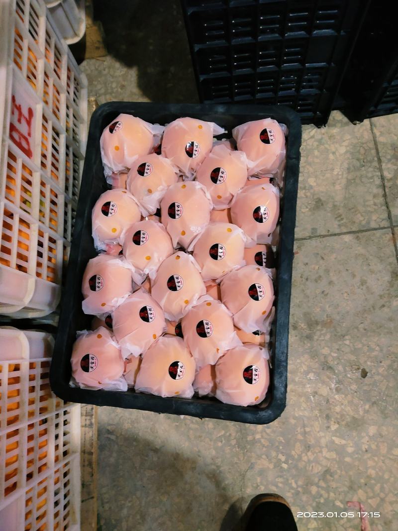 新宁精品保鲜7904脐橙