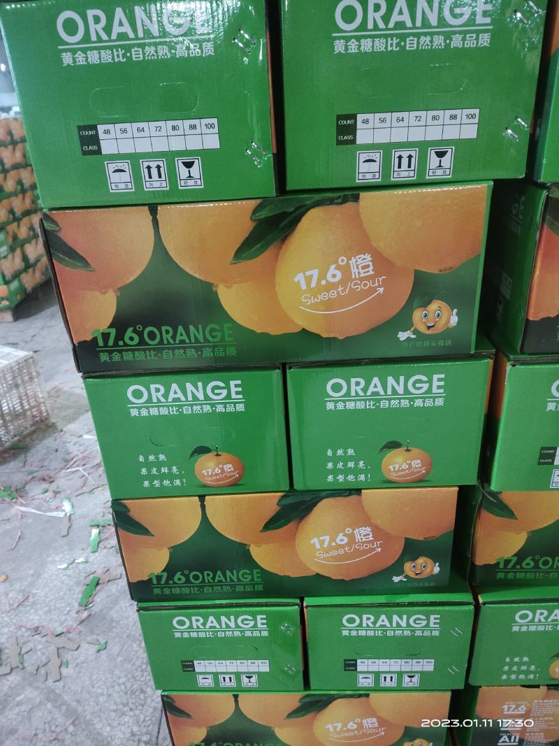 新宁精品保鲜7904脐橙