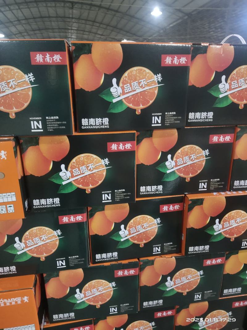 新宁精品保鲜7904脐橙