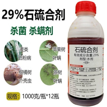 津润农29%石硫合剂水剂苹果树白粉病农药杀