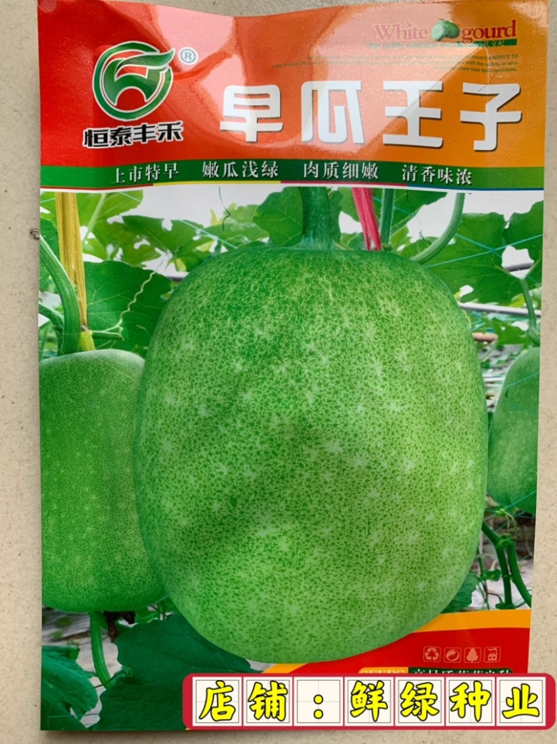 全兴早瓜满园杂交早熟优质小冬瓜单瓜2-8千克