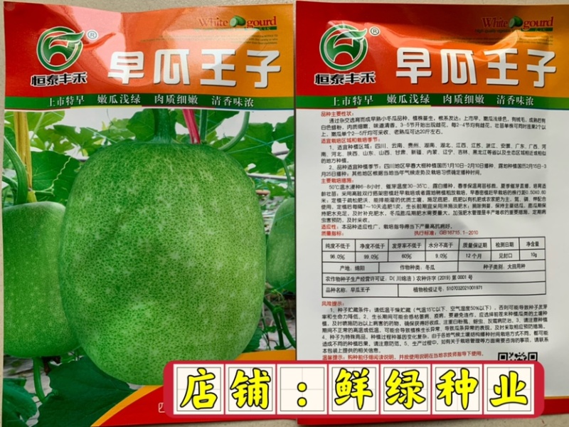 全兴早瓜满园杂交早熟优质小冬瓜单瓜2-8千克