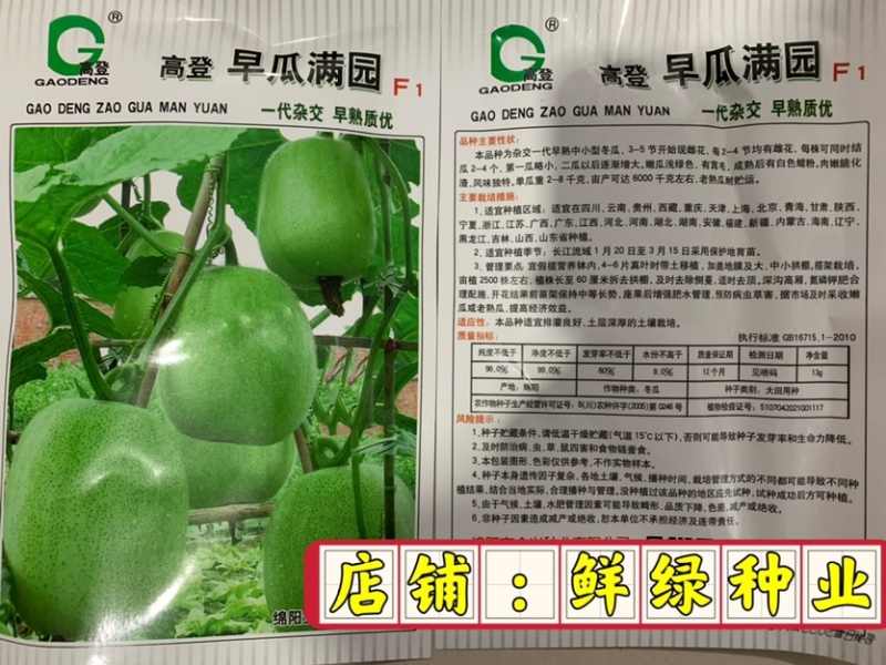 全兴早瓜满园杂交早熟优质小冬瓜单瓜2-8千克