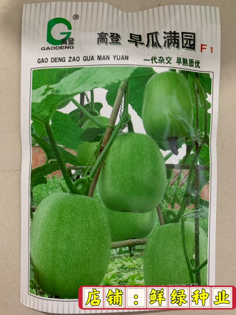 全兴早瓜满园杂交早熟优质小冬瓜单瓜2-8千克