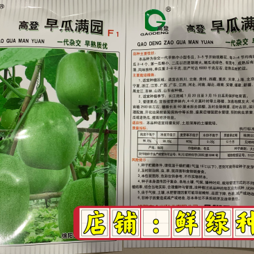 全兴早瓜满园杂交早熟优质小冬瓜单瓜2-8千克