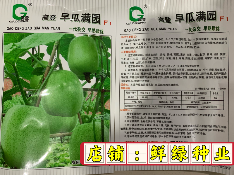 全兴早瓜满园杂交早熟优质小冬瓜单瓜2-8千克